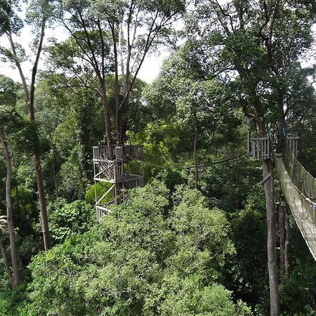 Samboja Lodge Balikpapan  Esterno foto