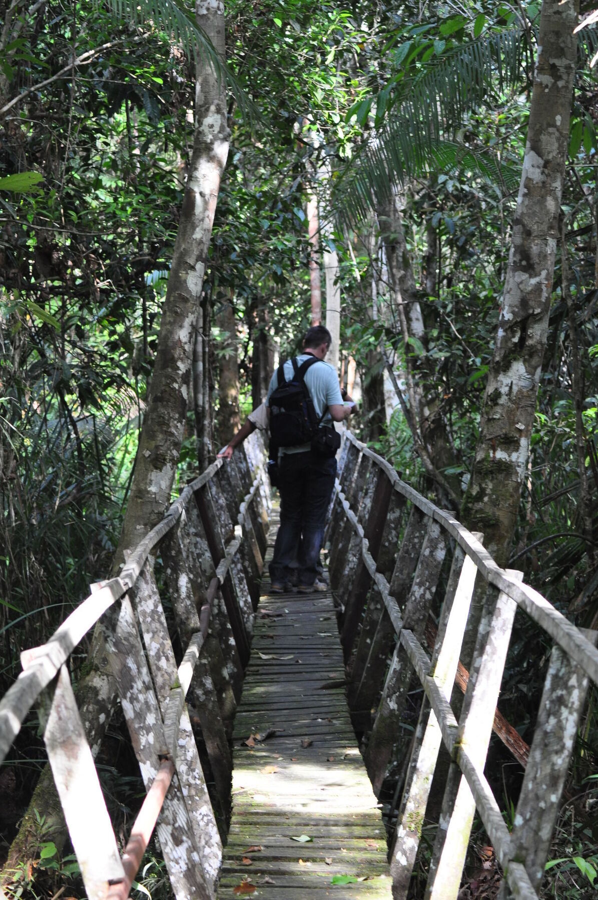 Samboja Lodge Balikpapan  Esterno foto