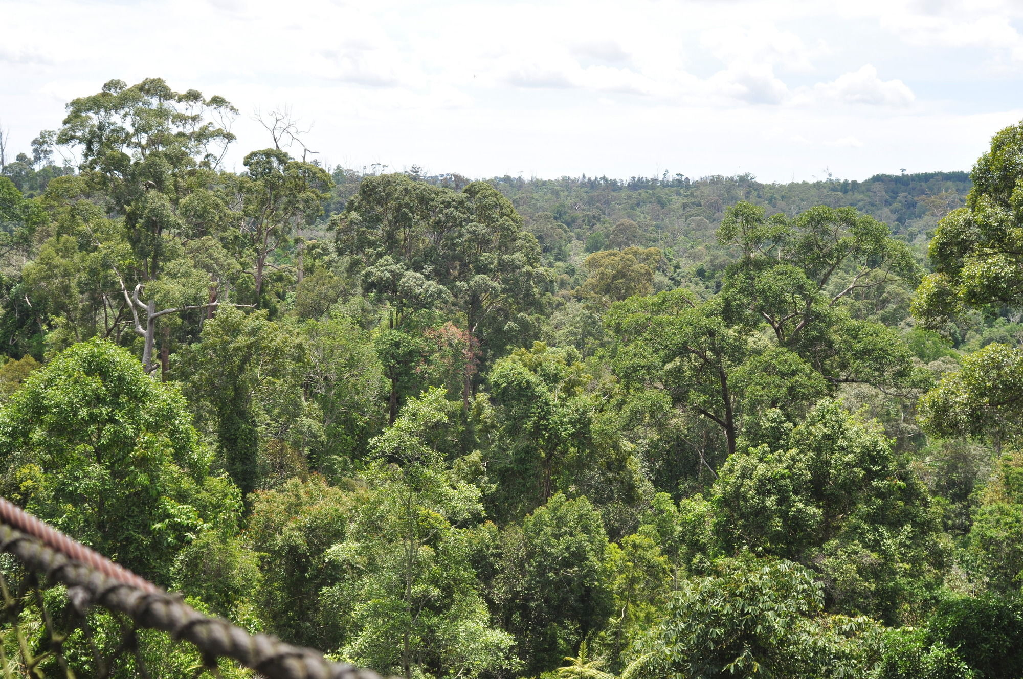 Samboja Lodge Balikpapan  Esterno foto