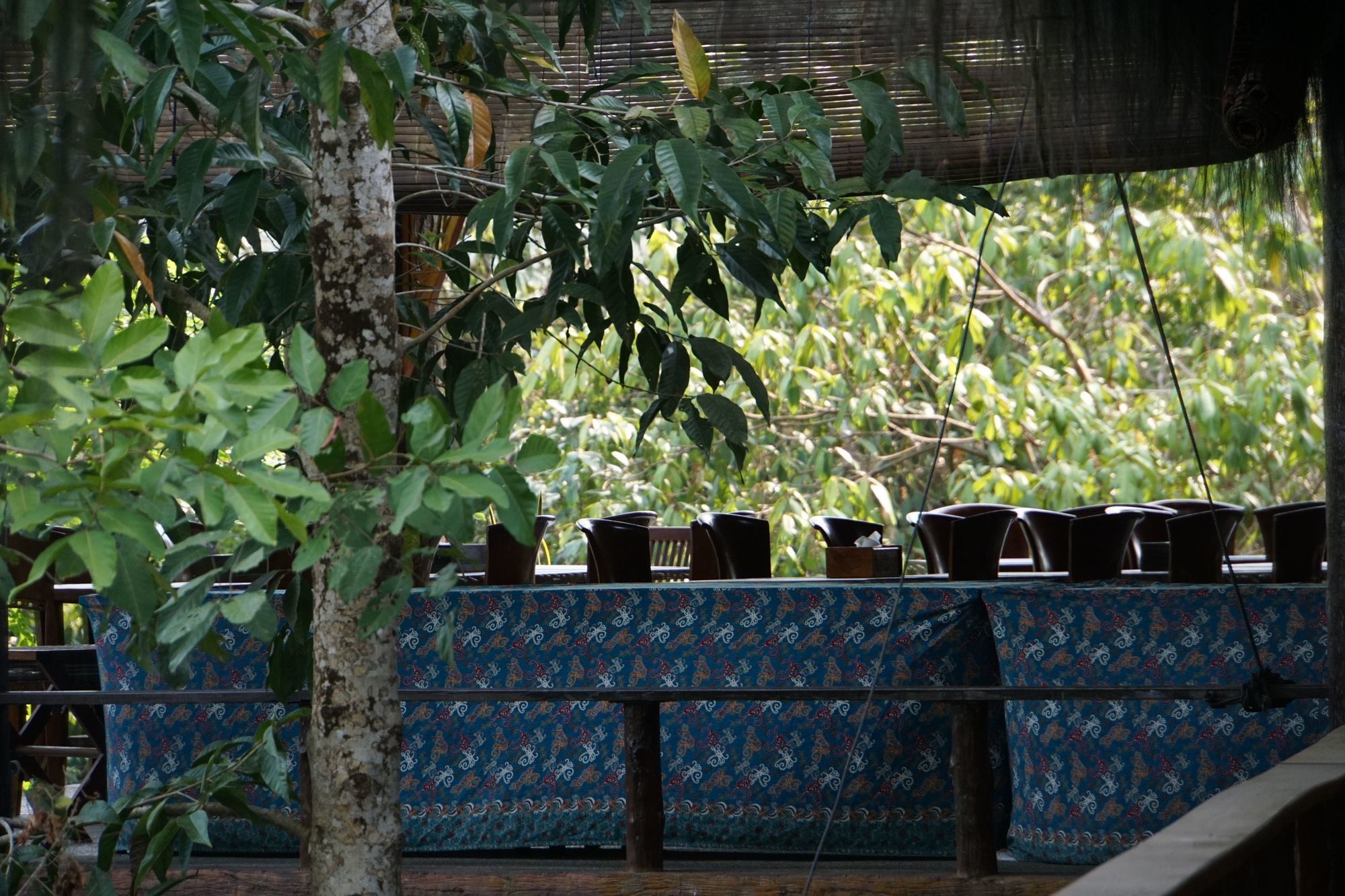 Samboja Lodge Balikpapan  Esterno foto