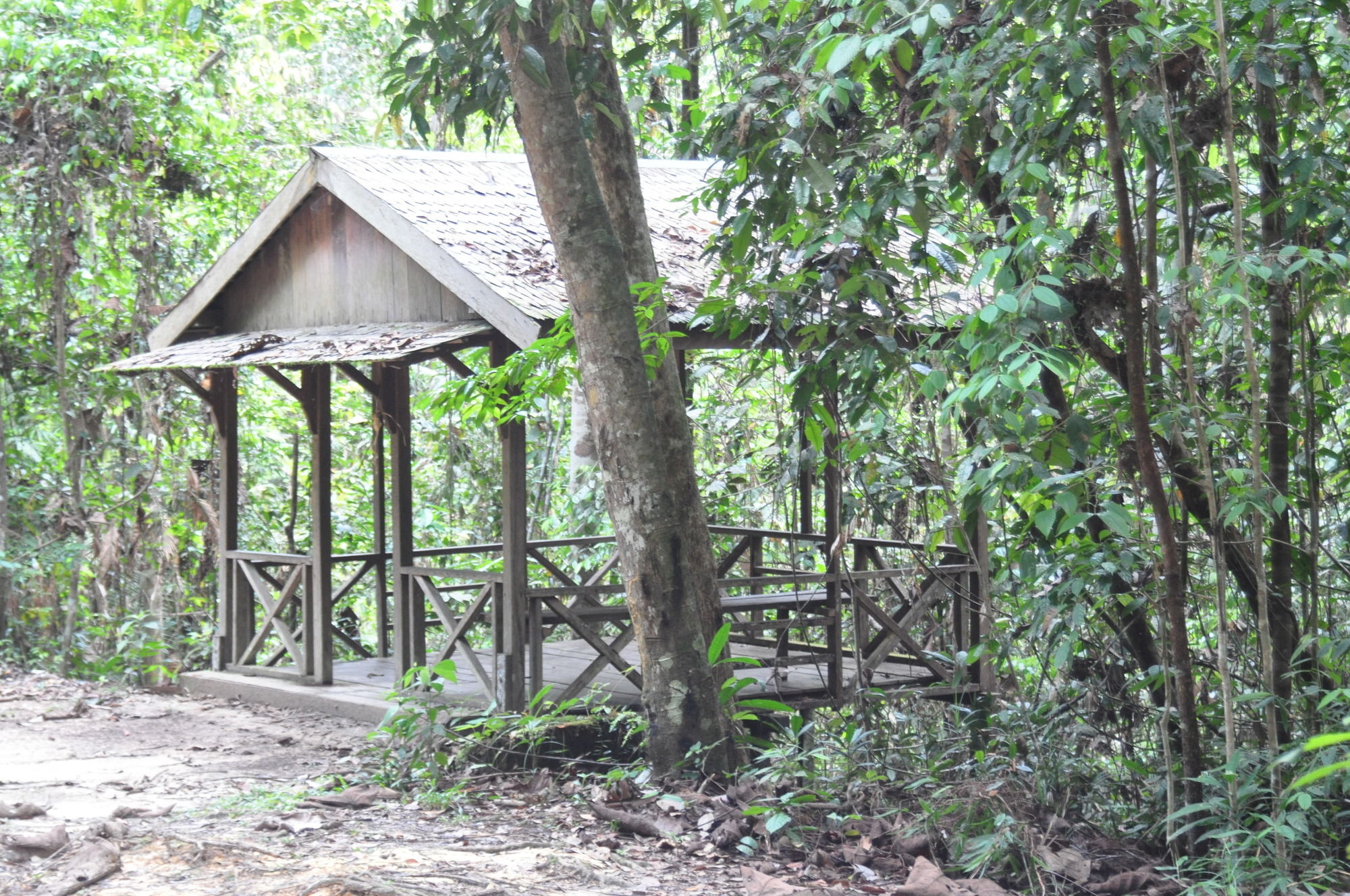 Samboja Lodge Balikpapan  Esterno foto