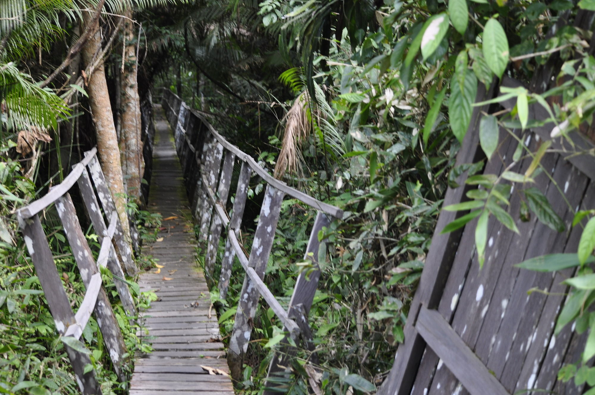 Samboja Lodge Balikpapan  Esterno foto